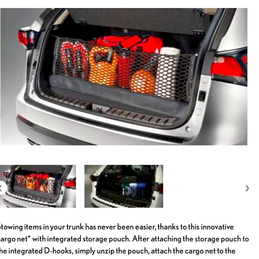 LEXUS RX cargo net